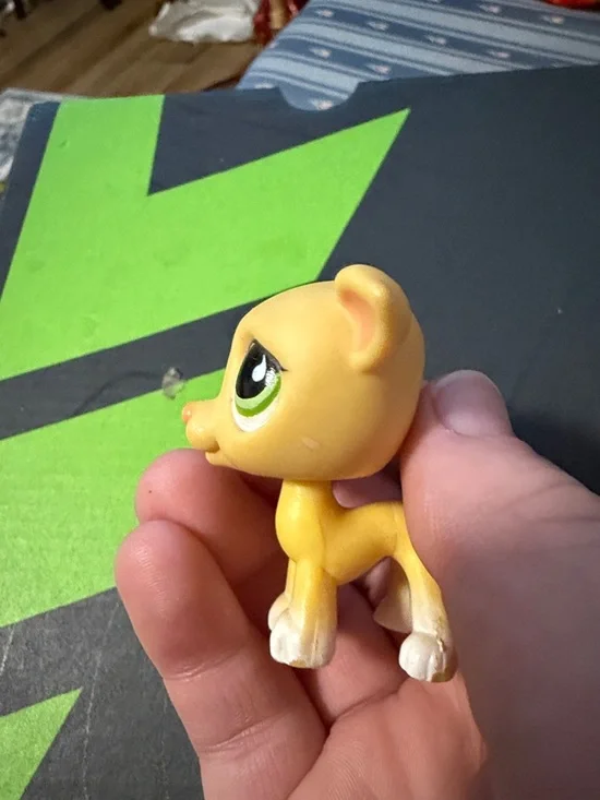 Yellow greyhound lps - Picture 4 of 4